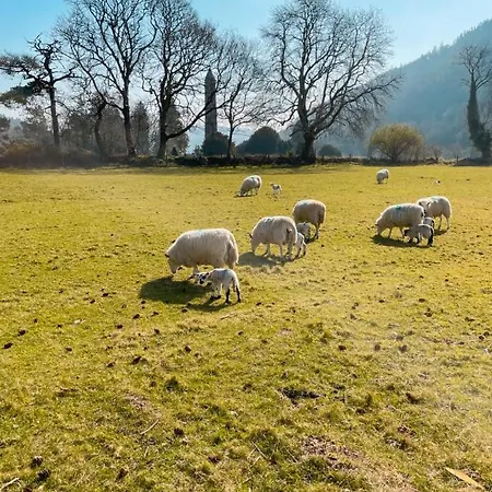 Hostel Glendalough International Youth