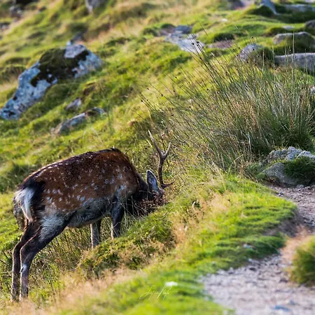 格兰达洛国际青年旅舍 拉勒夫