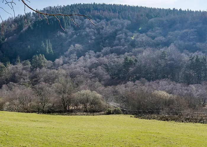 Hostel Glendalough International Youth